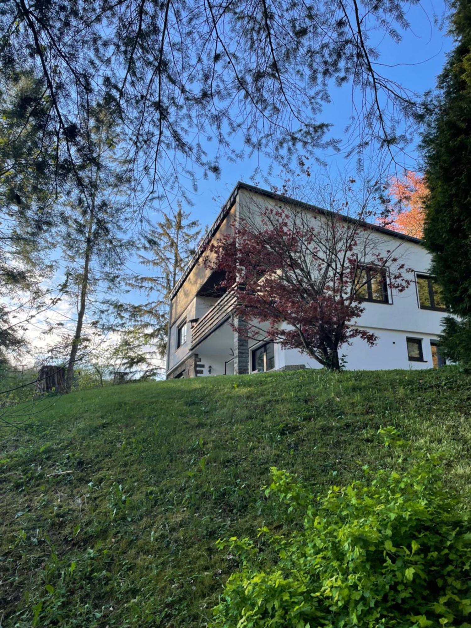 Talblick Chalet Blankenheim Бланкенхайм Екстериор снимка